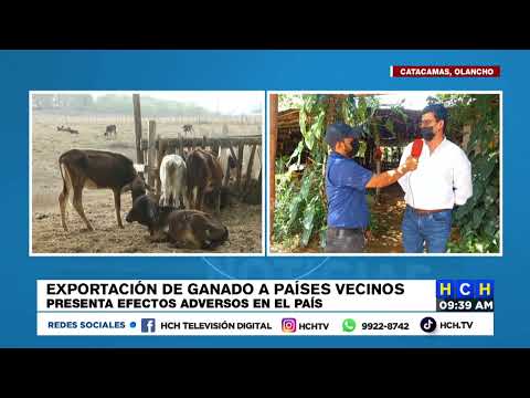 Afinan protocolos para fortalecer exportaciones de ganado hacia México