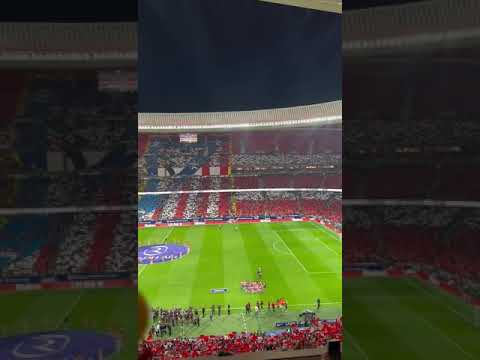 ? 'HASTA EL FIN DE MIS DÍAS' TIFO #Metropolitano #ElDerbideMadrid