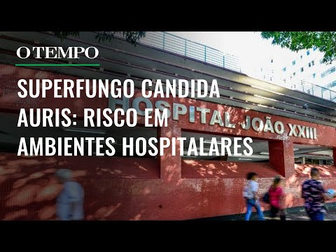 Candida auris: superfungo foi importado para Minas por paciente que viajou para Colômbia