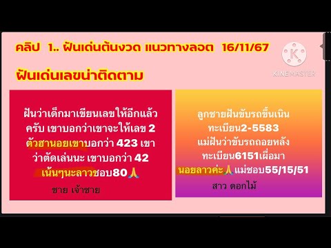 ฝันเด่นฝันต้นงวดแนวทางลอต1611