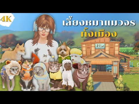 EP3|ทำสวนมะละกอเลี้ยงหมาแมวจร