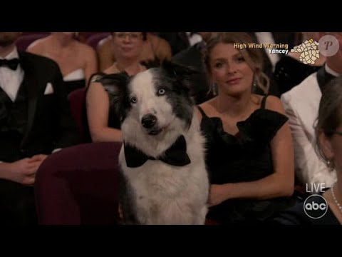 Gérard Depardieu humilié pendant les Oscars : les stars hollywoodiennes hilares