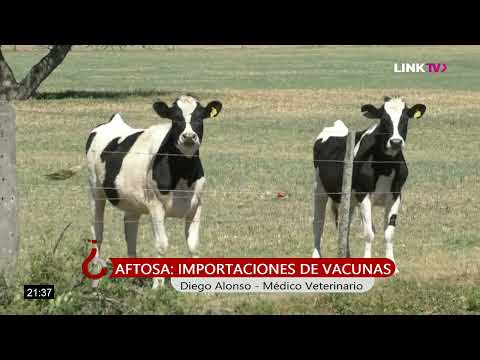 Quien Es Quien - Diego Alonso (Médico Veterinario) - Aftosa: Importación de vacunas