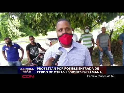 En Samaná, protestan por posible entrada de cerdos de otras regiones