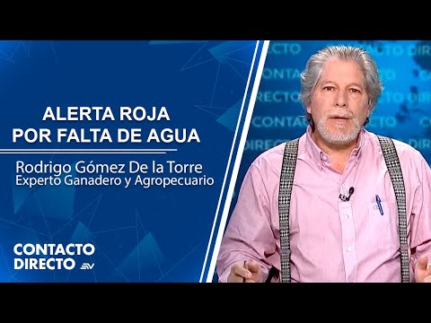 Rodrigo Gómez De la Torre, experto ganadero y agropecuario | Contacto Directo | Ecuavisa