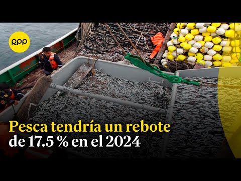 Impacto económico del ordenamiento pesquero de la anchoveta en la zona sur