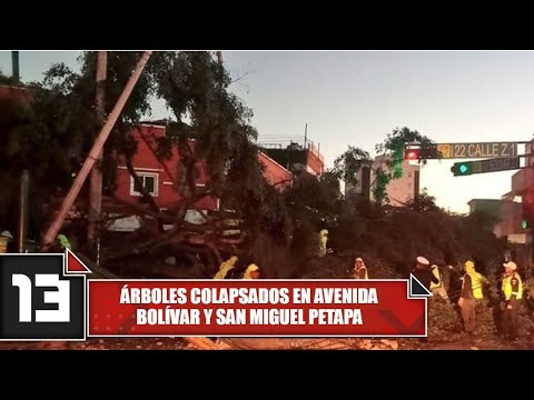 Árboles colapsados en avenida Bolívar y San Miguel Petapa