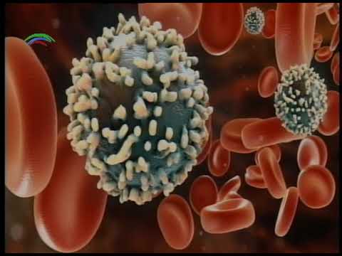 Mitos de la salud: Virus de la inmunodeficiencia humana, SIDA