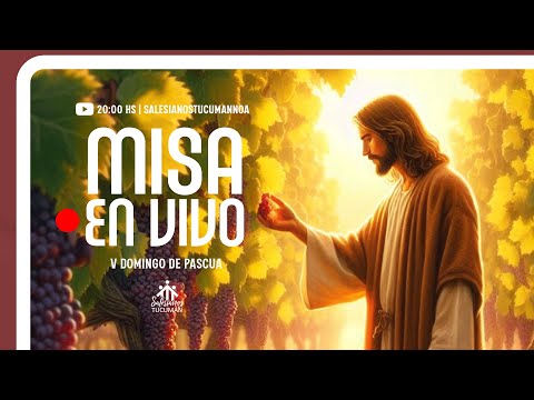 20:00 HS: SANTA MISA | 5º Domingo de Pascua | Desde Templo San Juan Bosco