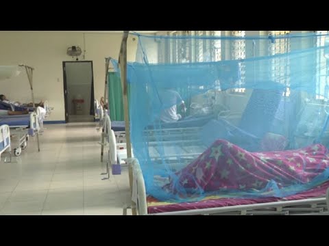 Dengue se desborda a nivel nacional: Minsa registra más de 73 mil infectados y 79 fallecidos