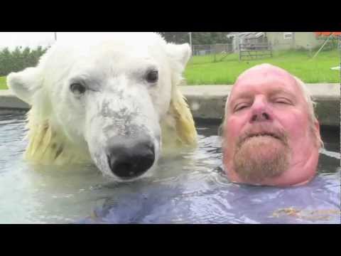 The Only Man In The World Who Can Swim With A Polar Bear: Grizzly Man