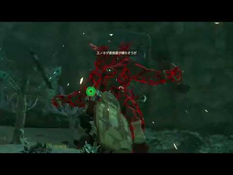 【ティアキン】ツカジタの根付近のライネル　ゼルダの伝説ティアーズオブ ザキングダムNintendo Switch 2 Edition #zelda