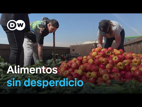 Chile recicla residuos orgánicos para alimentar al ganado