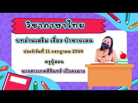 ป่าชายเลน ป่าชายเลน