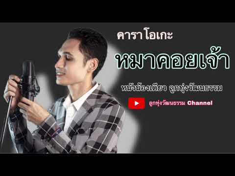 หมาคอยเจ้า-น้องเดียวสุวรรณแ