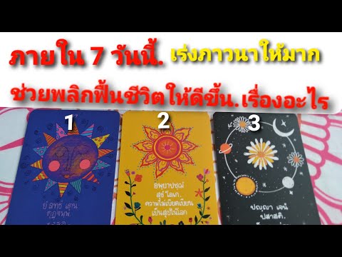 Pick-a-Deck:-7-วันนี้-ตั้งใจภา Pick-a-Deck:-7-วันนี้-ตั้งใจภา