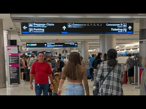 Vuelve a la normalidad el Aeropuerto de Miami