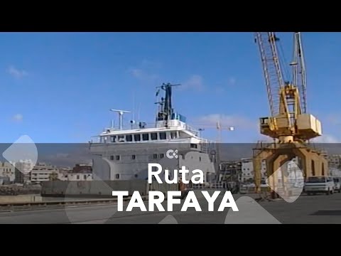 ASAGA pide que la ruta Tarfaya - Fuerteventura garantice los controles fitosanitarios