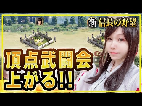 💗【シンノブ】🔥頂点舞踏会を勝ち進む姫になる！！！【#新信長の野望】348