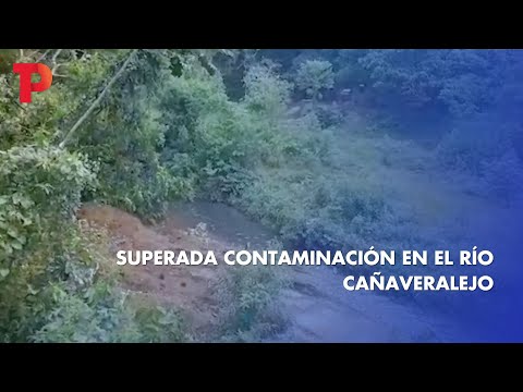 Superada contaminación en el río Cañaveralejo | 11.05.2023 | Telepacífico Noticias