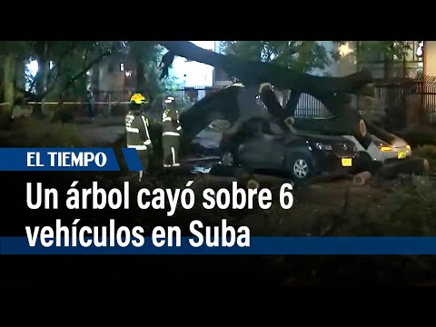 Siguen los aguaceros en Bogotá: Un árbol cayó sobre 6 vehículos en Suba | El Tiempo