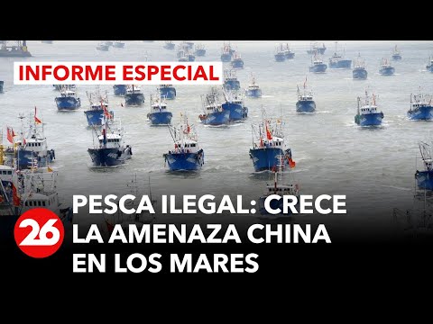 Pesca ilegal: crece la amenaza China en los mares