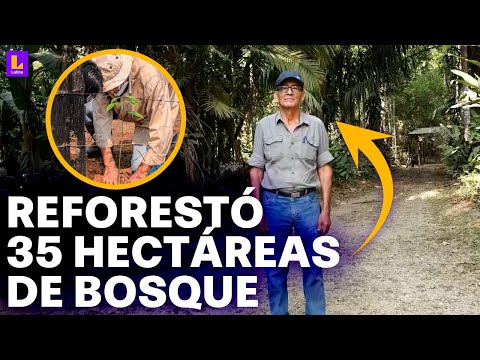 El peruano que reforestó más de 30 hectáreas en la Amazonía