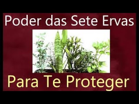 Poder das SETE ERVAS para Proteger sua casa, trabalho e Você   Feng Shui    Franco Guizzetti