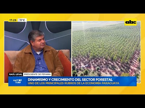 Dinamismo y crecimiento del sector Forestal