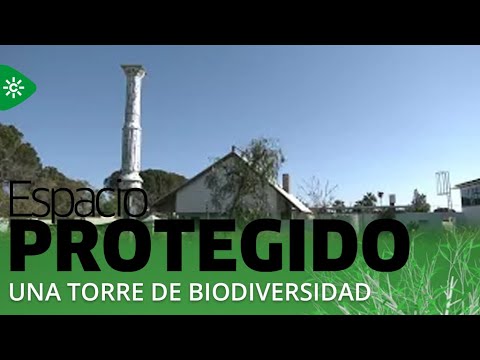 Espacio Protegido | Así se fabrica una torre de biodiversidad