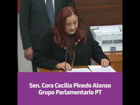 Comparecencia de la secretaria de Energía, Rocío Nahle García