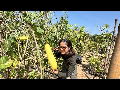 ￼เที่ยวสวนแตงธรรมชาติผลละปลู