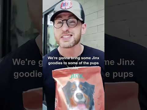 Chris Evans snuggles w/ rescue dogs at shelter  #shorts