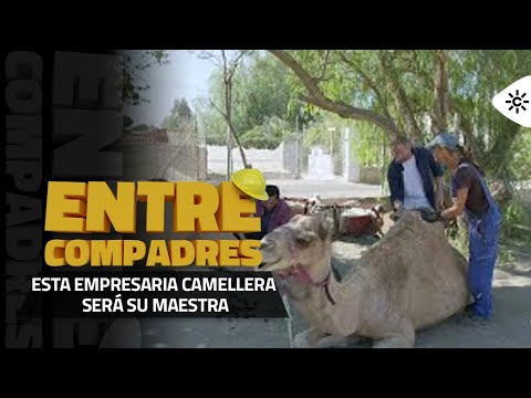 Entre compadres | Alfonso Sánchez y Alberto López aprenden a ser camelleros
