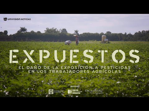 Campo Tóxico: el daño de los pesticidas en los trabajadores del campo