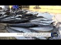 كاميرا سهيل ترصد انعكاس الحرب على الصيادين في المكلا