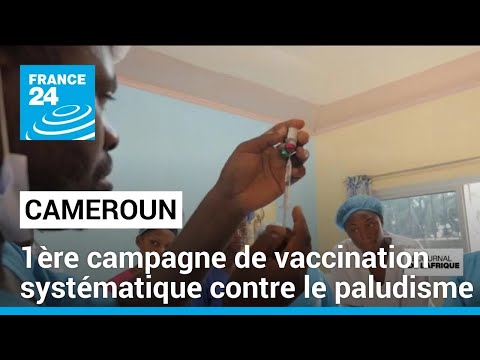 Lutte contre le paludisme : le Cameroun lance sa 1ère campagne de vaccination systématique