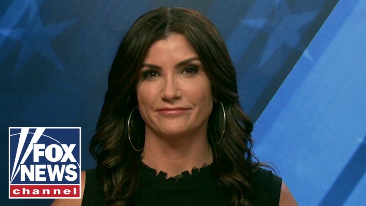 ‘Nobody believes this, except their base:’ Dana Loesch