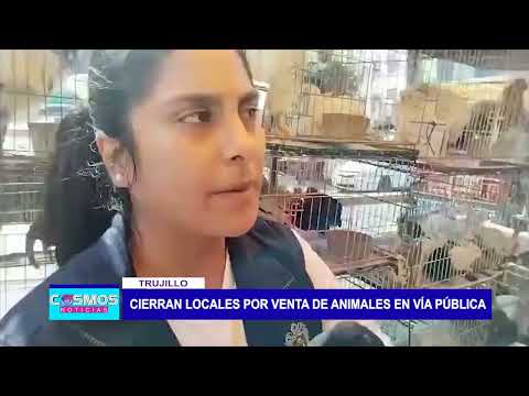 Trujillo: Cierran locales por venta de animales en vía pública