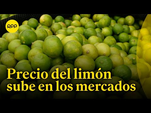 Precio del limón se eleva hasta S/.15 el kilo