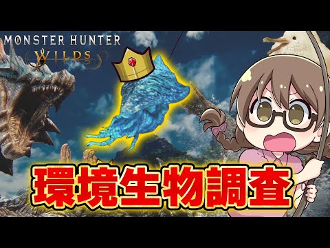 【モンハンワイルズ】研究員＆釣り友の夏を溶かす「環境生物レコードランキング」いくぞ！【モンスターハンターワイルズ  PC版 RTX5090】