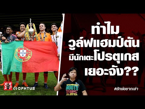 สงสัยกันไหม-ทำไมวูล์ฟสมีนักเตะ สงสัยกันไหม-ทำไมวูล์ฟสมีนักเตะ