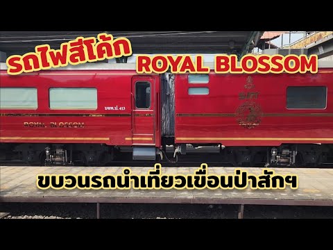 รถไฟสีโค้กRoyalBlossomขบวนร