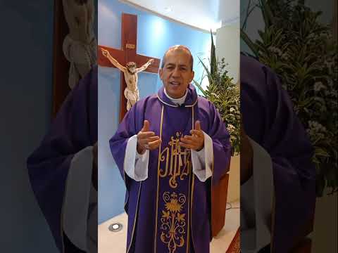 Homilía de hoy Martes 29 Noviembre 2022, Monseñor Mauricio Vélez  Tele VID #Shorts