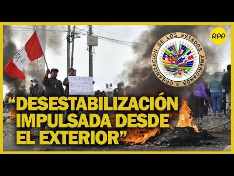 OEA: Congresistas de 14 países manifiestan preocupación por proceso de desestabilización del Perú