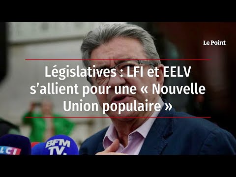 Législatives : LFI et EELV s’allient pour une « Nouvelle Union populaire »