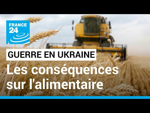 Guerre en Ukraine : quelles conséquences sur la filière agroalimentaire ? • FRANCE 24