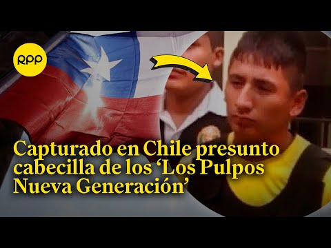 Capturan en Chile a presunto cabecilla de ‘Los Pulpos Nueva Generación’