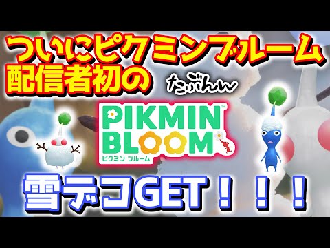 【ピクミンブルーム】ついにピクミンブルーム配信者初の(たぶんw)雪デコGET！！！【Pikmin