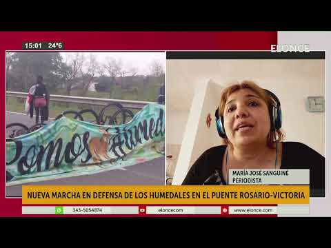 Nueva marcha en defensa de los humedales en el puente Rosario   Victoria